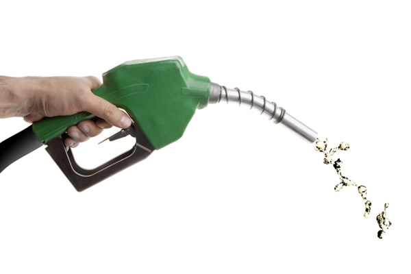 Imagem JPG, Indisponível